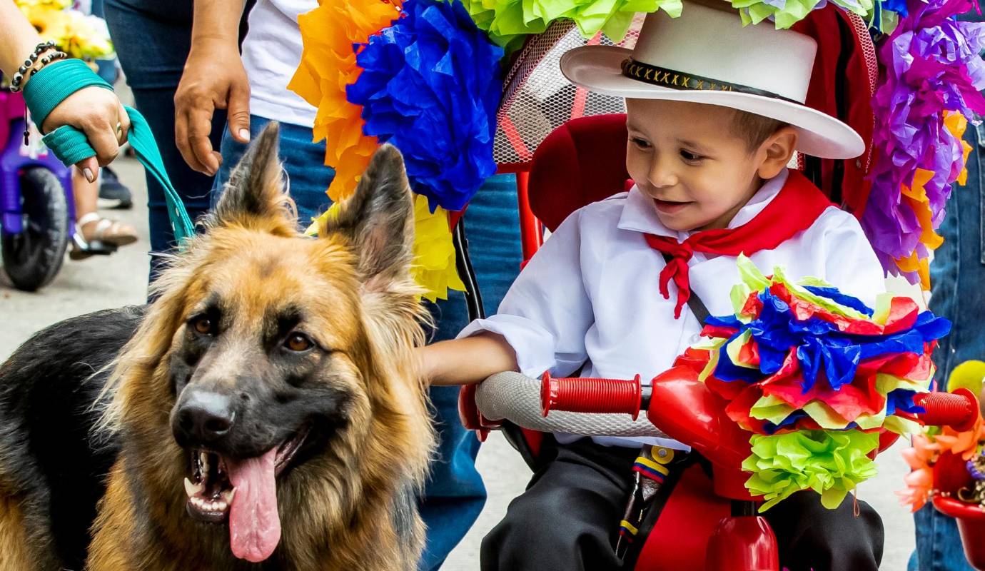 Hasta las mascotas acompañaron a los niños en su desfile de silleteritos. FOTO: Jaime Pérez