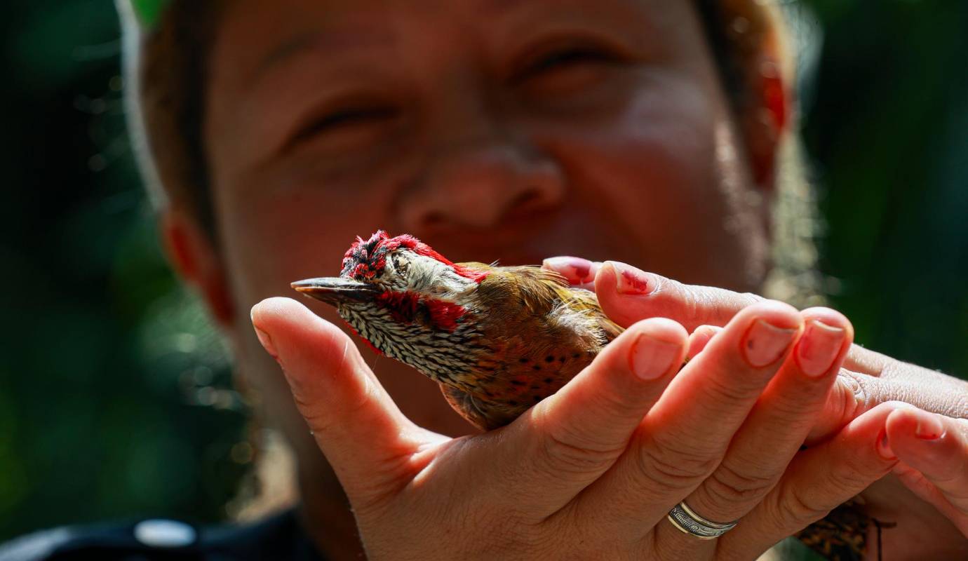 Esta iniciativa está inspirada en Juan Pablo Culasso, un invidente uruguayo que es célebre porque distingue trinos de más de 3.000 aves. Foto: Manuel Saldarriaga Quintero.