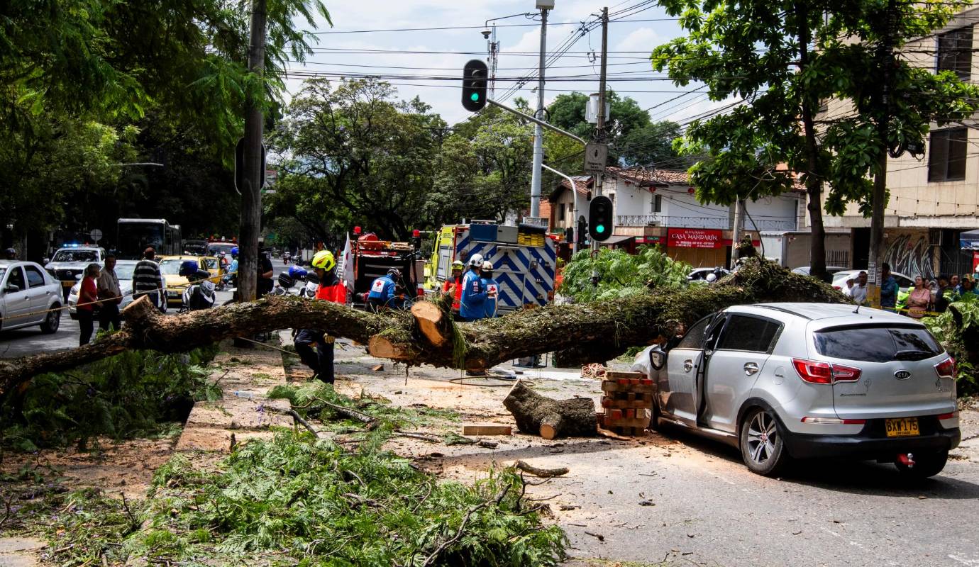 Afortunadamente, no se reportaron heridos, pero sí daños materiales en los automóviles afectados. Foto: Julio Herrera