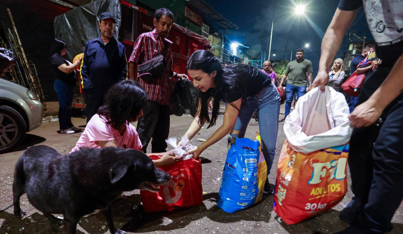 La Fundación comenzó con un gesto tan simple pero significativo como llevar alimento y medicamentos a las mascotas de la calle. Esta acción no solo ayudó a satisfacer las necesidades básicas de los animales, sino que también sentó las bases para construir relaciones de confianza con sus dueños. Foto: Manuel Saldarriaga Quintero.