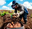Se desembolsaron más de $73.000 millones para emprendedores y productores con estas líneas de crédito. FOTO: MANUEL SALDARRIAGA
