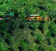 Procuraduría regañó al Ministerio de Ambiente sobre las zonas de reserva del Suroeste antioqueño. FOTO: JULIO CÉSAR HERRERA