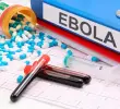 La RDC registra 5.584 casos confirmados de ébola desde el inicio del brote el 15 de mayo. FOTO: Agencia SINC