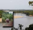 El avistamiento se produjo en límites entre el departamento de Antioquia y Boyacá. FOTOS: Cortesía