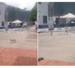 <span class=mln_uppercase_mln>Aún</span><b><span class=mln_uppercase_mln> no se esclarece la identidad del grupo armado que perpetró el atentado a la estación de Policía en Villa Caro, Norte de Santander. FOTO: CAPTURA DE VIDEO</span></b>