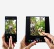 Los Galaxy Z Fold7, Z Flip7 y Z Flip7 FE están disponibles en preventa en Colombia hasta el 30 de septiembre, con beneficios como doble memoria y bonos de intercambio. FOTO cortesía