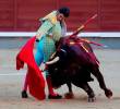 <span class=mln_uppercase_mln>Quedó</span><b><span class=mln_uppercase_mln> en firme la constitucionalidad de la ley #NoMásOlé que prohíbe de manera progresiva en Colombia las corridas de toros, las corralejas, el coleo y las peleas de gallo. FOTO: GETTY</span></b>