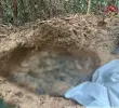 Hallados en una fosa común en zona rural del municipio de Calamar, Guaviare, la Fiscalía reveló los motivos y detalles del brutal hecho. Foto, Fiscalía.