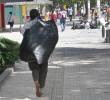 El caso se presentó cuando un comerciante de arepas fue golpeado con una piedra, en el Centro de la ciudad, presuntamente por un habitante de calle. Su estado de salud es crítico. Foto: EL COLOMBIANO