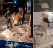 Ciudadanos grabaron en video al paciente cuando era dejado en una acera por trabajadores del hospital. FOTO: Cortesía