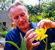 Un santuario con 25.000 orquídeas en La Ceja, Antioquia, busca salvar especies de la extinción