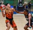El jugador David Ojeda de Paisas (uniforme naranja) es uno de los más destacados de la Liga Profesional de baloncesto. Este sábado Paisas juega en el coliseo de la Universidad de Medellín. FOTO MANUEL SALDARRIAGA