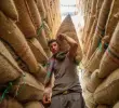 En los últimos 12 meses, las exportaciones cafeteras alcanzaron los US$5.400 millones, una cifra nunca antes registrada. La producción llegó a 14,6 millones de sacos, el nivel más alto desde 1992.