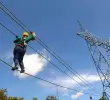 Las empresas eléctricas revisan las redes de distribución en zonas de Manizales, Pereira y Cali para identificar daños y restablecer el servicio. FOTO EL COLOMBIANO.