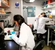 En 2023 se reportaron 39.720 estudios clínicos nuevos a nivel mundial, de los cuales aproximadamente 100 fueron registrados en Colombia. FOTO ARCHIVO