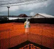 Cientos de niños en República Democrática del Congo han muerto por la epidemia del ébola. FOTO: AFP