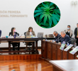 El proyecto de acto legislativo que regula el comercio de cannabis pasó el séptimo debate en la Comisión Primera del Senado con 15 votos a favor y 4 en contra. FOTO COLPRENSA Y EL COLOMBIANO