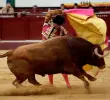 Las corridas de toros quedaron prohibidas en Colombia después de que el Congreso aprobara un proyecto de ley en ese sentido. FOTO COLPRENSA