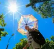 El calor obliga al corazón a trabajar más, expertos explican los riesgos. Foto: Esneyder Gutiérrez