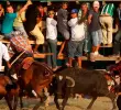 Cientos de animales, sobre todo caballos, han muerto en las corralejas de Caucasia, las más sanguinarias en Antioquia. FOTO: CORTESÍA