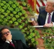 ¿Estados Unidos podría darle nuevamente la certificación a Colombia en la lucha contra las drogas? FOTOS: Colprensa, AFP y Presidencia