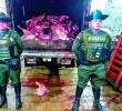 En un operativo realizado en el municipio de Donmatías, Norte antioqueño, las autoridades incautaron 9.000 kilos de carne en malas condiciones. FOTO Cortesía Policía Antioquia.