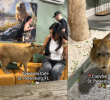 El café cuenta actualmente con 12 capibaras, todos provenientes de rescates o entregados por zoológicos. Foto: rede sociales.