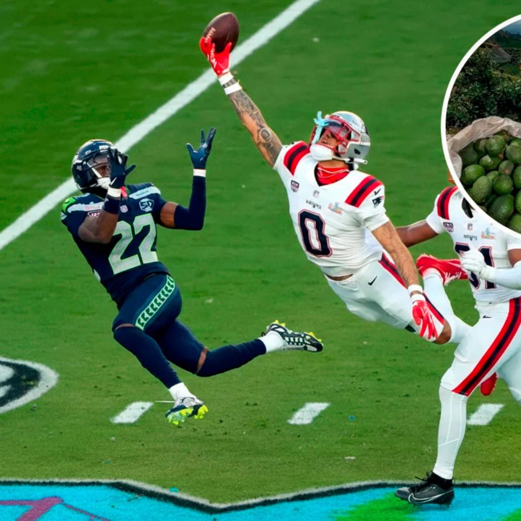 El aguacate Hass colombiano no brilló en el Super Bowl 2026. Este año 95 de cada 100 aguacates consumidos fueron mexicanos. FOTO GETTY COLPRENSA. 
