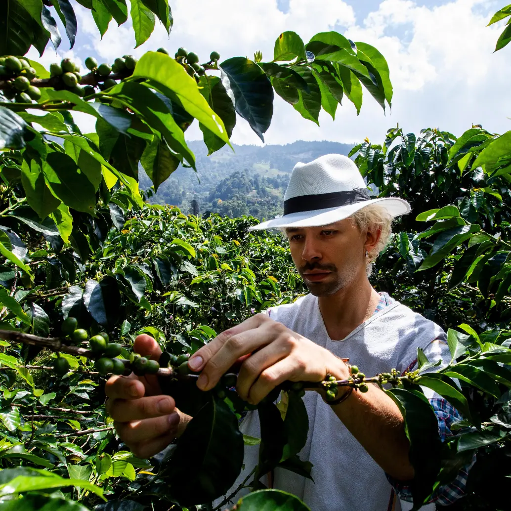El sector cafetero considera que el comportamiento de la tasa de cambio es clave para la competitividad de las exportaciones colombianas.FOTO JULIO CÉSAR ECHEVERRY. 