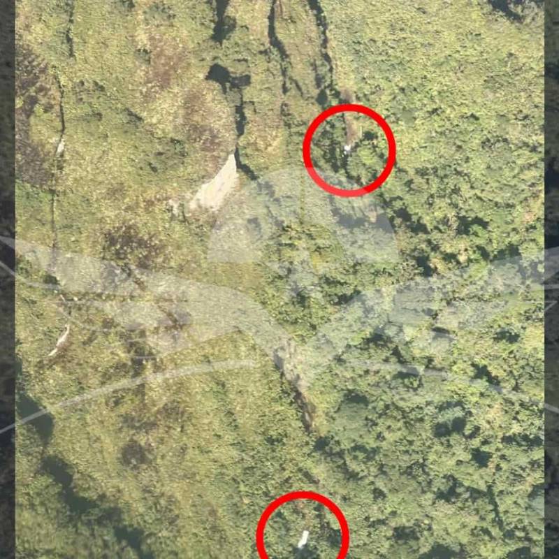 Tras la pérdida de comunicación con la aeronave, las autoridades iniciaron de inmediato las labores de búsqueda. Foto: Redes sociales @FuerzaAereaCol