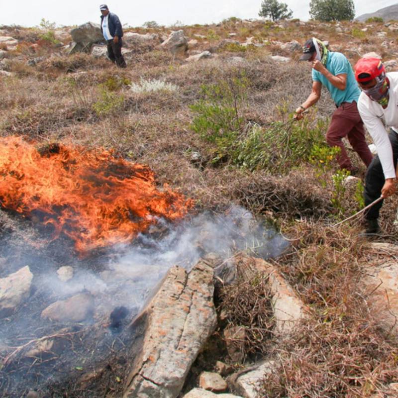 Cientos de personas trabajan para apaciguar las llamas. Foto: Colprensa.
