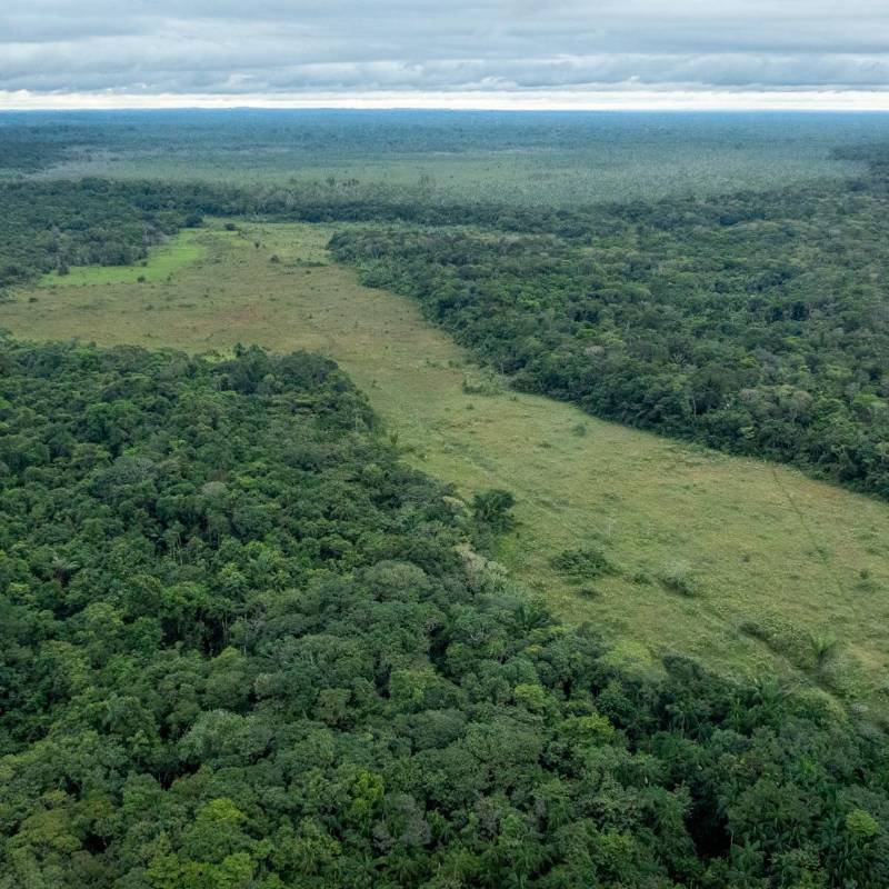 El documento establece siete principios orientadores para la formulación de políticas públicas en esa región. FOTO cortesía Sebastian Di Domenico