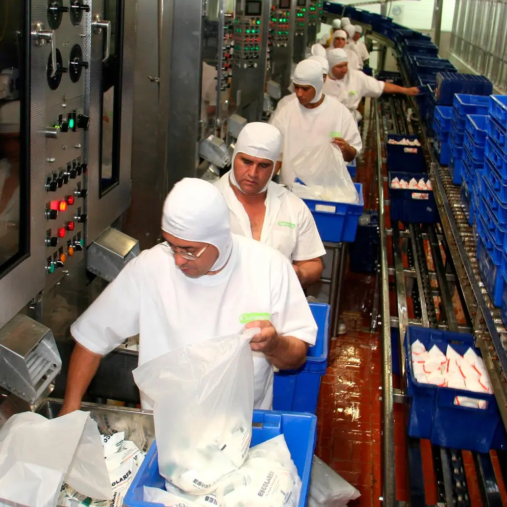 Colanta recolectó el año pasado 866,8 millones de litros de leche, con un incremento del 4,2% frente al año anterior. FOTO EL COLOMBIANO