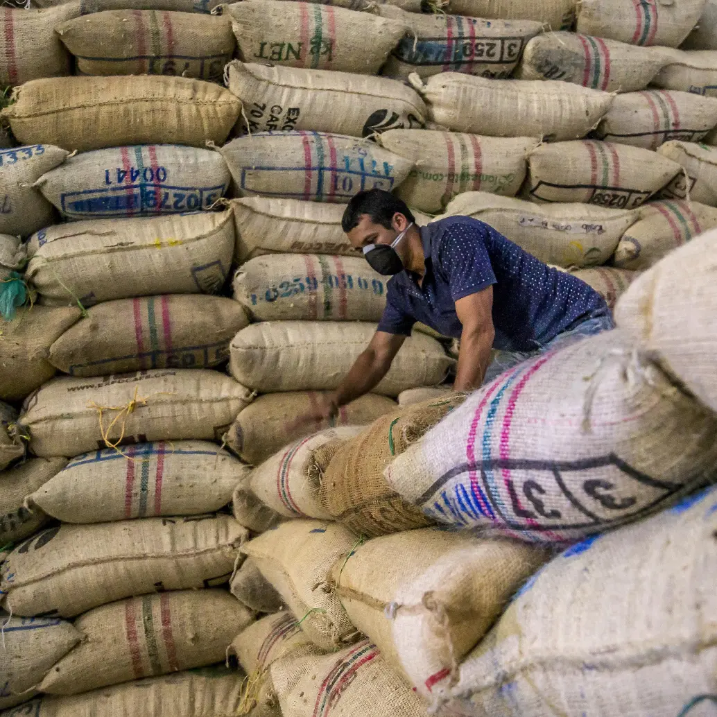 Las exportaciones de café soluble y liofilizado creció un 30,2% en el primer trimestre de 2025, impulsando la categoría de industrializados. Foto: Juan Antonio Sánchez 