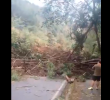 La emergencia causó cierre total y se estiman grandes traumatismos de movilidad en la zona sur de la ciudad. FOTO: CORTESÍA