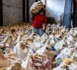 La Cooperativa de Caficultores de Andes reactivó cuatro puntos de compra de café y avanza en su proceso de recuperación tras superar gran parte de sus compromisos financieros. FOTO Julio César Herrera