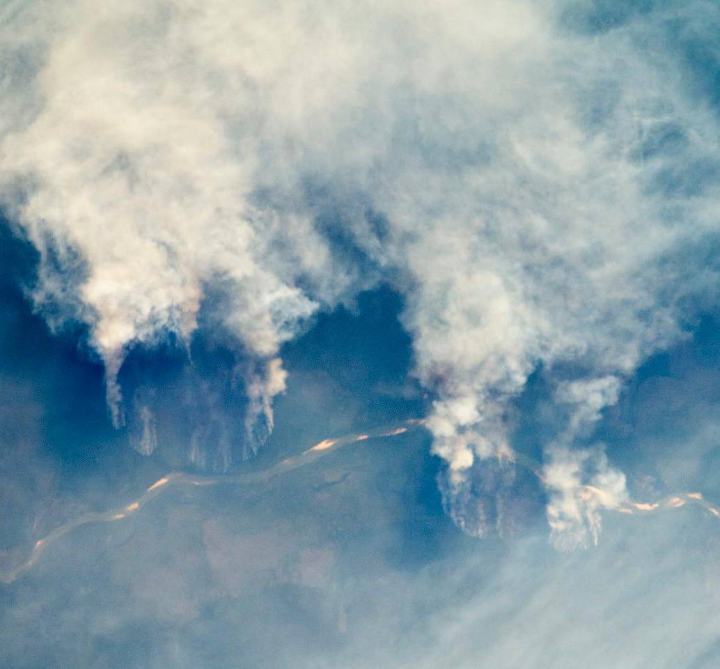 El bosque tropical es uno de los ecosistemas más diversos y estratégicos para el equilibrio ambiental. FOTO Nasa Earth