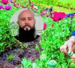 Un cultivo de la flor de amapola, de la cual se produce la morfina para fabricar la heroína; apenas da dos cosechas anuales, mientras que la coca puede dar seis, de acuerdo con las autoridades. <b> </b>FOTO<b> Juan Antonio Sánchez</b>