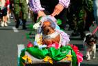 La 26ª Caminata Canina de Tierragro fue, una vez más, un éxito rotundo, dejando en claro que el amor por las mascotas es una parte vibrante y esencial del espíritu de la Feria de las Flores, consolidándose como un espacio donde la diversión y la conciencia animal caminan de la mano. FOTO: Camilo Suárez Echeverry