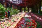 El artista botánico japonés Azuma Makoto creó una instalación floral monumental con más de 2,500 bromelias en la iglesia de El Retiro, Antioquia, para la Bienal Internacional de Arte de Antioquia y Medellín (BIAM). Foto: Camilo Suárez