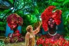 Los organizadores buscan no solo deleitar a los asistentes con la vista de estas flores, sino también educar sobre el papel de las orquídeas en el ecosistema y la importancia de su preservación. Foto: Camilo Suárez Echeverry