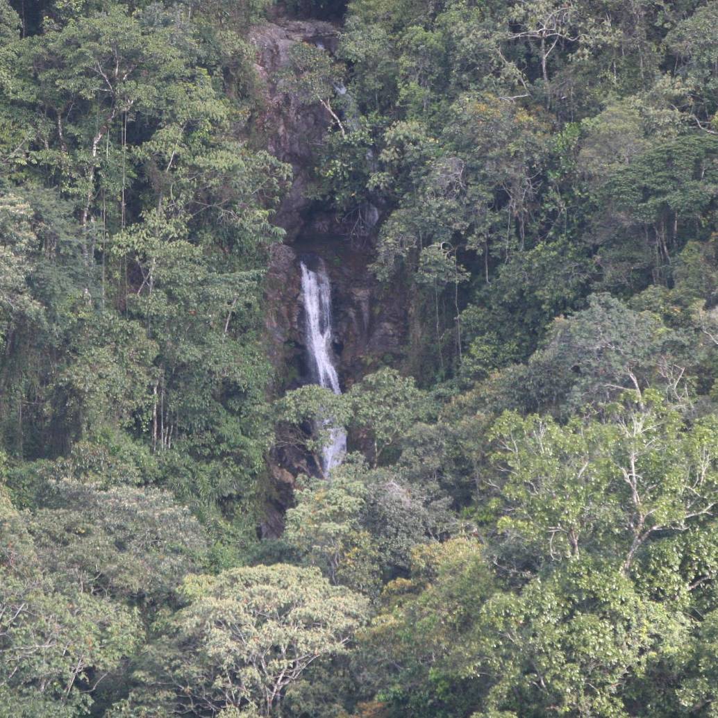 Así luce el sector del Salto del Ángel en Envigado donde se perdieron los senderistas. FOTO: JUAN ANTONIO SÁNCHEZ OCAMPO