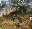 Los bomberos de Medellín luchan contra un incendio en la parte alta de El Poblado. Foto: Archivo EL COLOMBIANO - Róbinson Sáenz