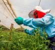 El sector agro deberá pagar sobretasa de 20% en energía. FOTO CAMILO SUÁREZ