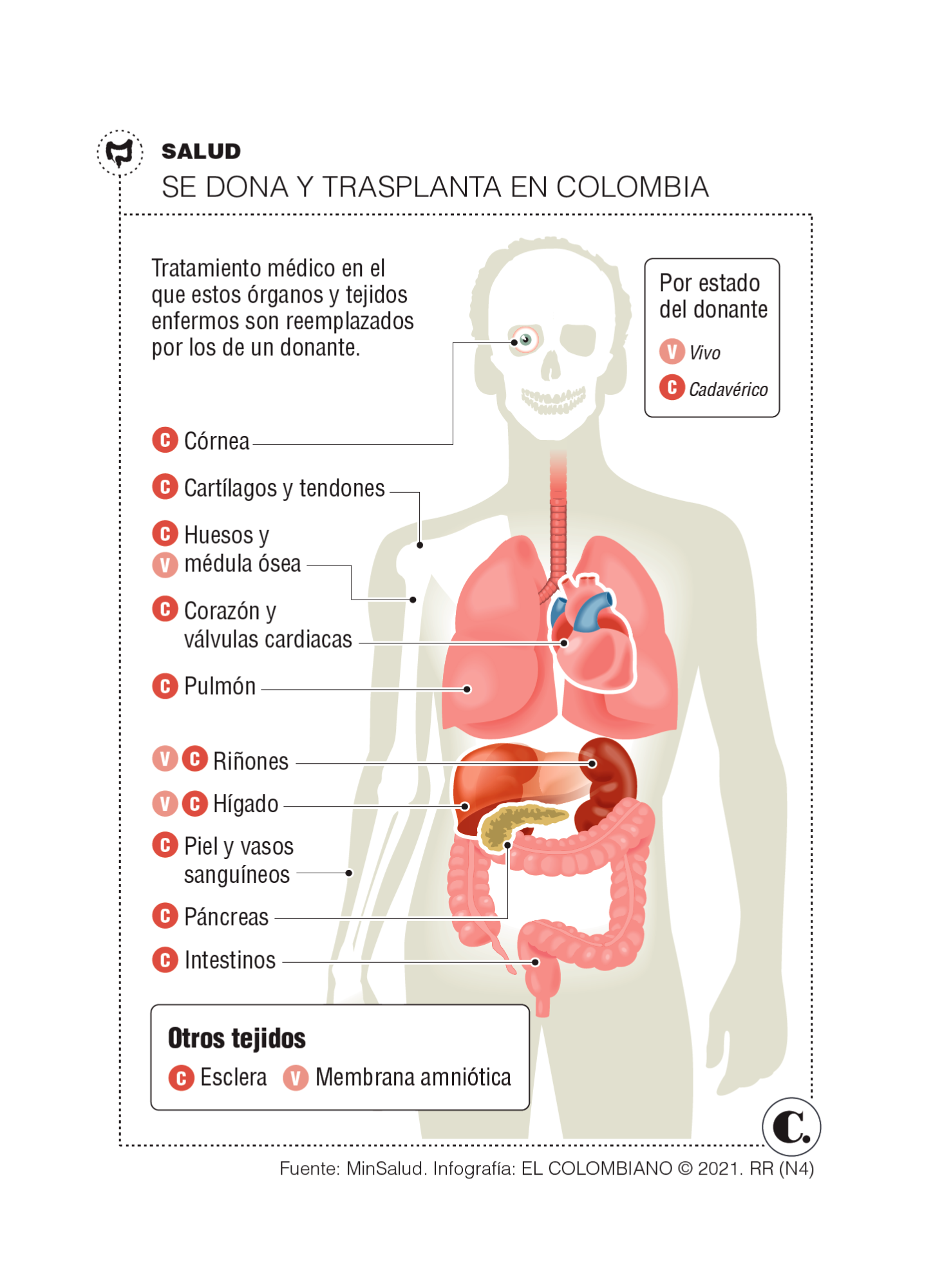 InfogrÃ¡fico