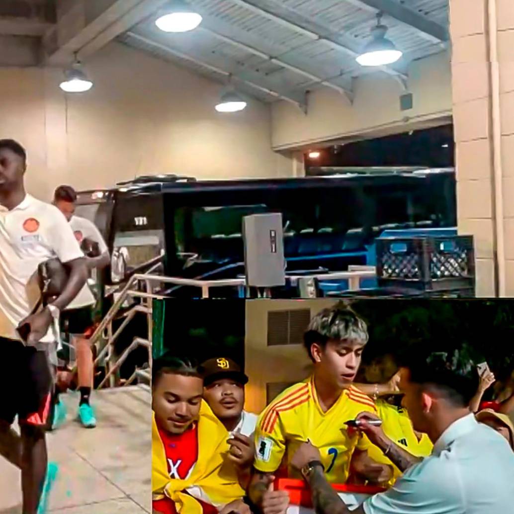 Recibimiento a la Selección Colombia de mayores previo al duelo ante México. FOTO: Captura de redes @FCFSeleccionCol