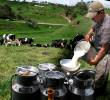 Se espera beneficiar a productores en 32 departamentos. FOTO: EL COLOMBIANO