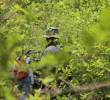 Colombia se rajó ante Estados Unidos en la lucha contra la coca. Foto: Colprensa