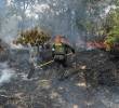 Pese a la cercanía con un sector residencial, el incendio no dejó personas heridas ni viviendas afectadas. FOTO Policía Antioquia.