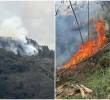 El fuego encontró además una plantación de pinos, un combustible que facilita su rápida propagación. FOTOS Alcaldía de La Estrella.